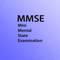 Mini Mental State Examination